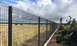 Забор из 3D сетки