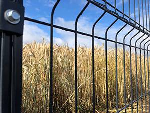 Забор из 3D - сетки